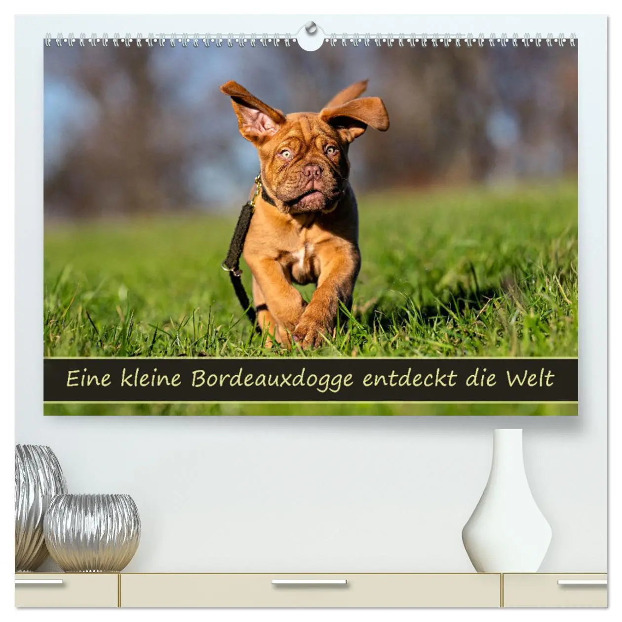 Cover: 9783457248096 | Eine kleine Bordeauxdogge entdeckt die Welt (hochwertiger Premium...