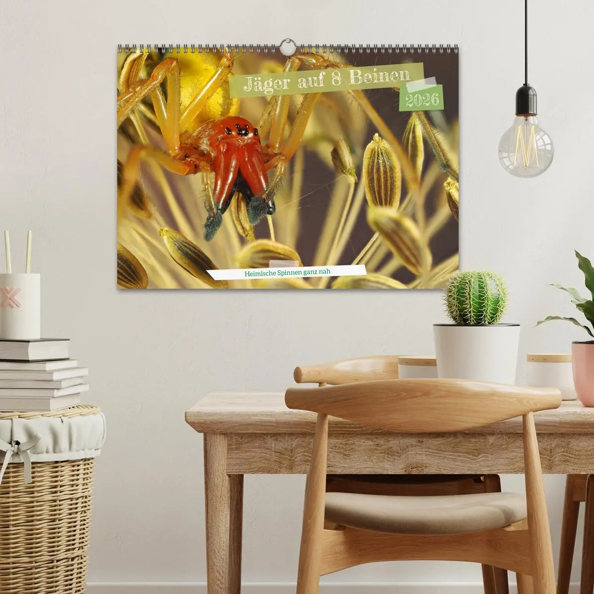 Bild: 9783457558096 | Jäger auf acht Beinen (Wandkalender 2026 DIN A3 quer), CALVENDO...