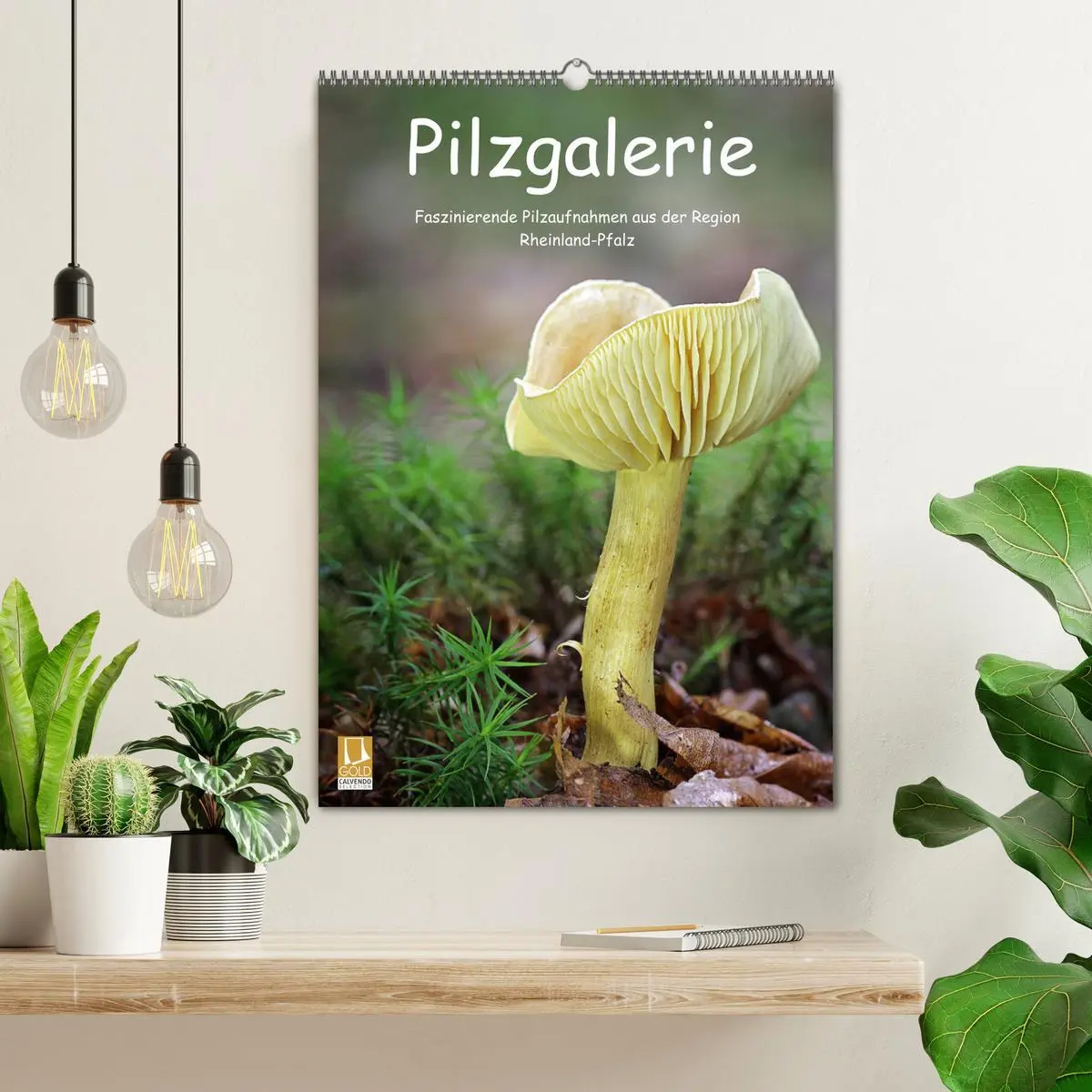 Bild: 9783516408096 | Pilzgalerie - Faszinierende Pilzaufnahmen aus der Region...