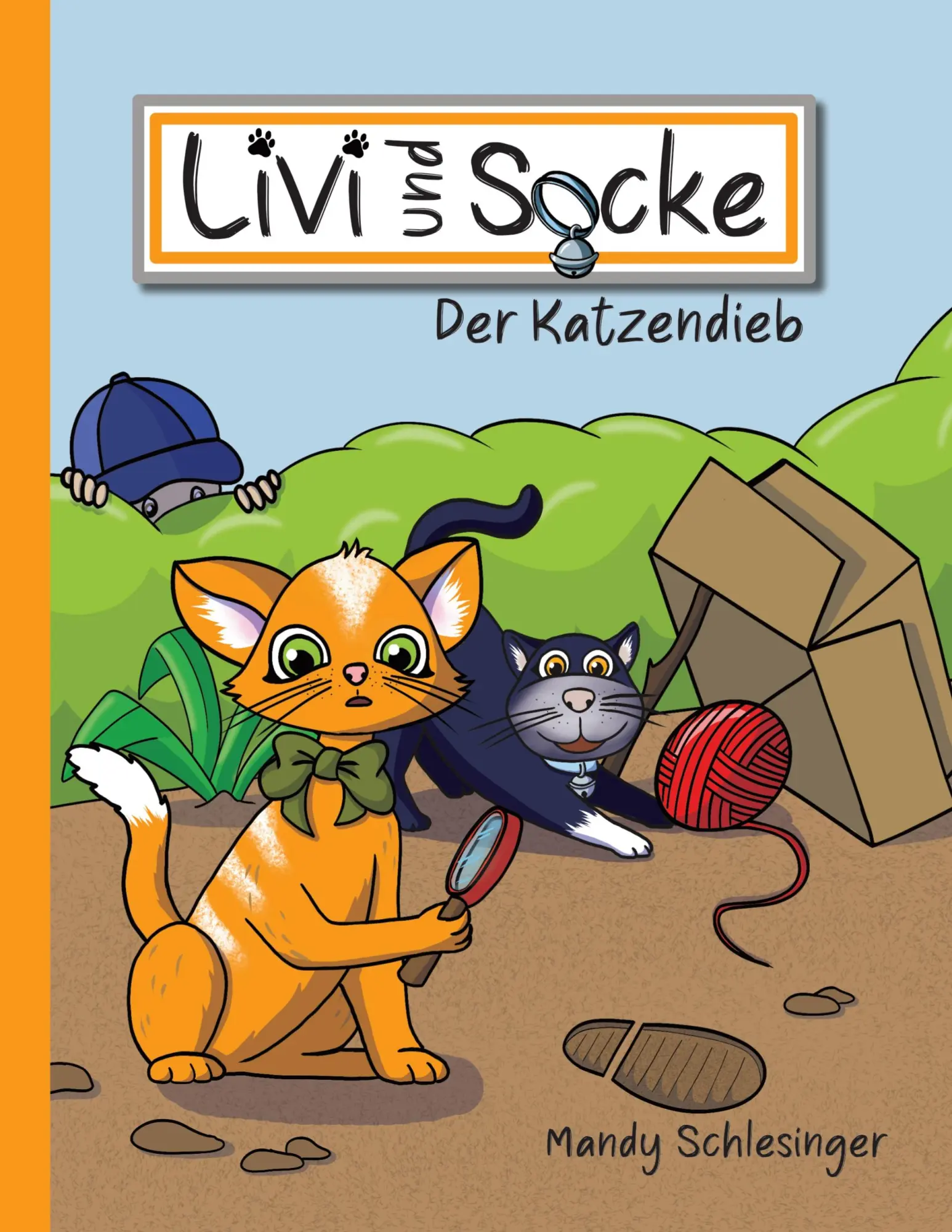 Cover: 9783695158096 | Livi und Socke | Der Katzendieb | Mandy Schlesinger | Taschenbuch