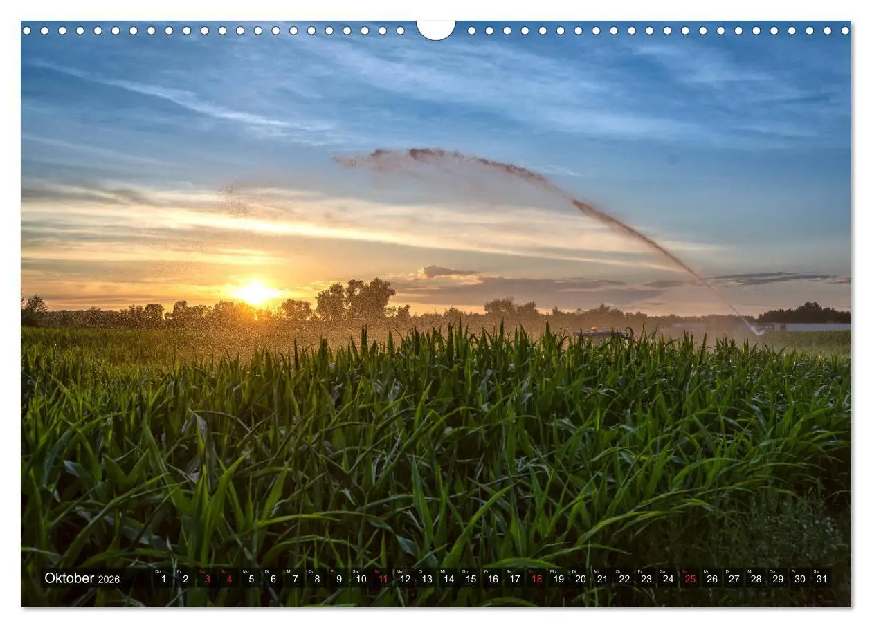 Bild: 9783457928196 | Ketsch am Rhein (Wandkalender 2026 DIN A3 quer), CALVENDO...