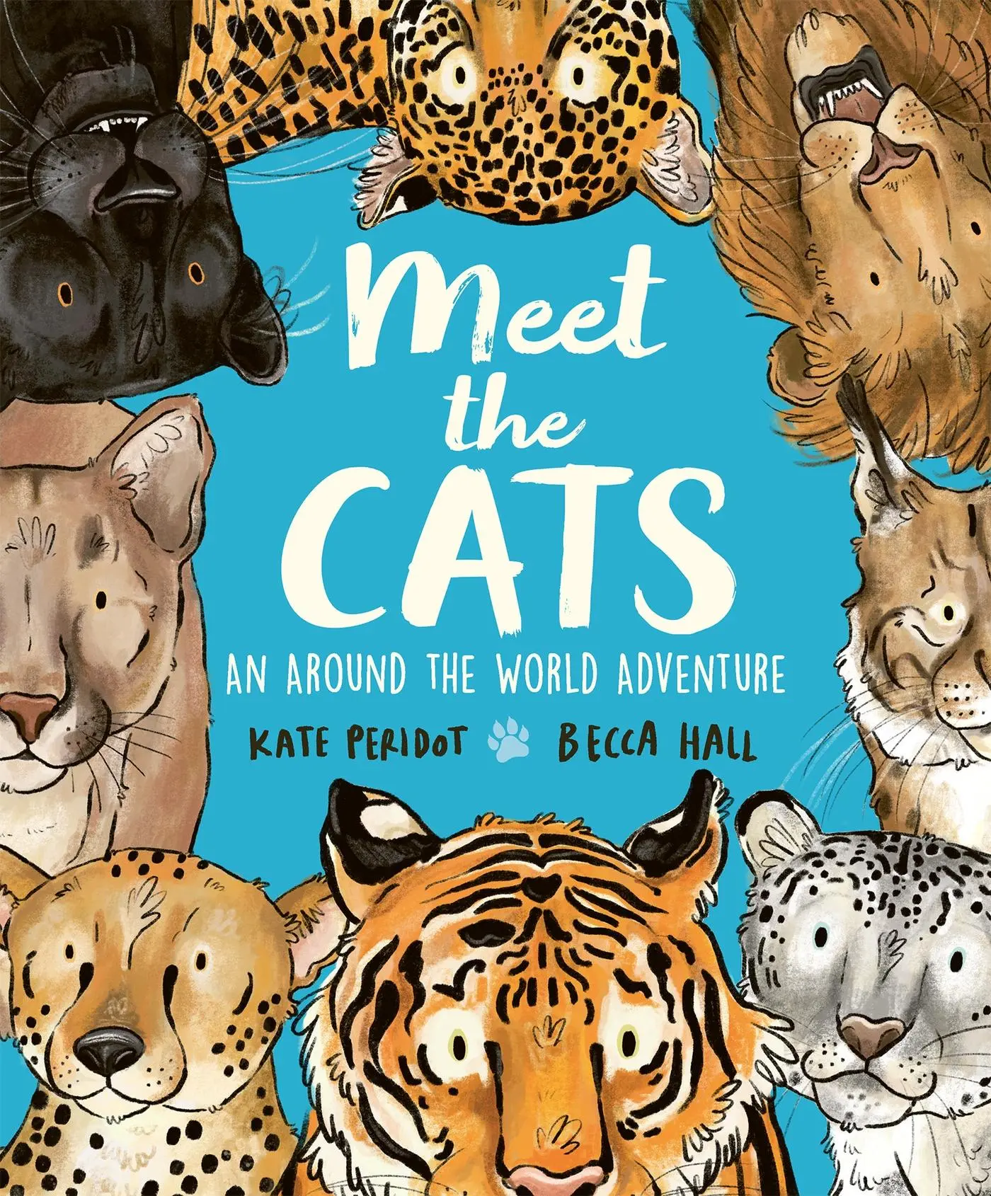 Cover: 9781804538296 | Meet the Cats | Kate Peridot | Taschenbuch | Englisch | 2025