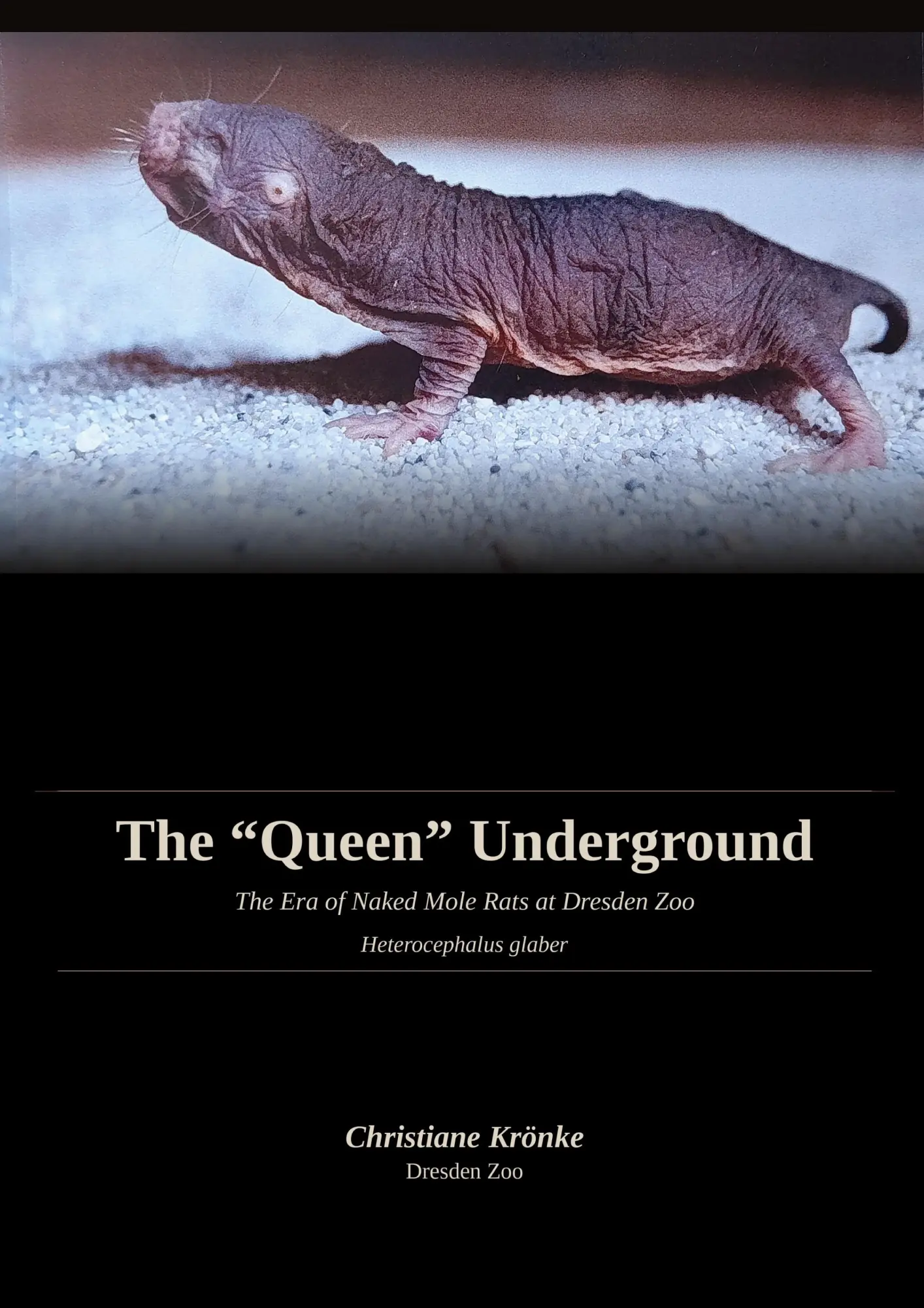 Cover: 9783696368296 | The Queen Underground | The Era of Naked Mole Rats at Dresden Zoo