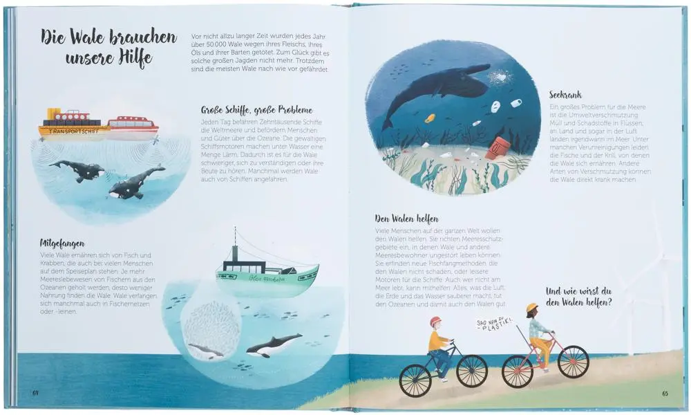 Bild: 9783899558296 | Die Welt der Wale | Lerne die Riesen der Ozeane kennen | Darcy Dobell