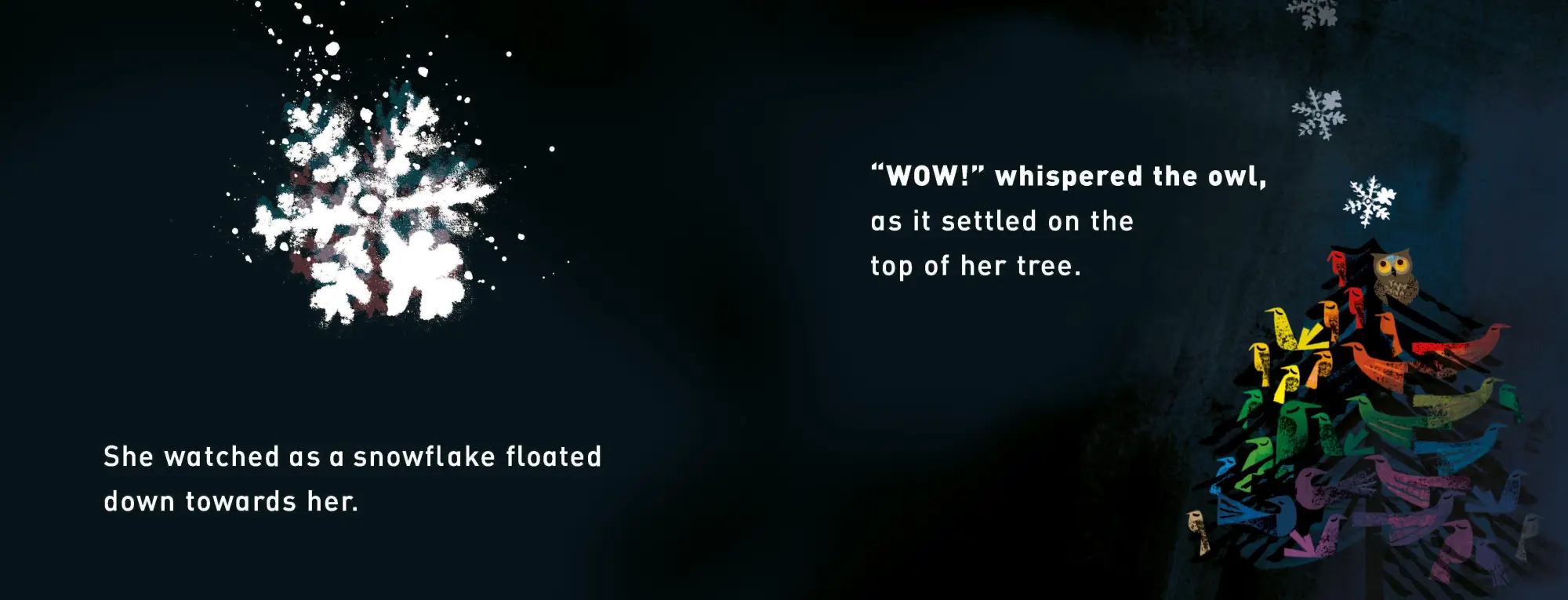 Bild: 9781529098396 | Wow! It's Snowing | A First Book of Weather | Tim Hopgood | Buch