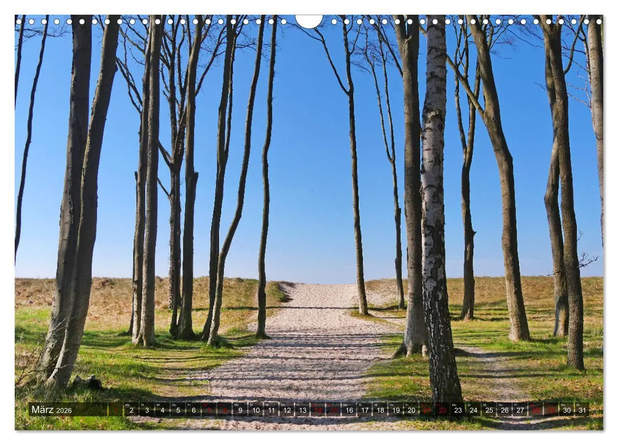 Bild: 9783457518496 | Graal-Müritz, Malerische Küstenmomente (Wandkalender 2026 DIN A3...
