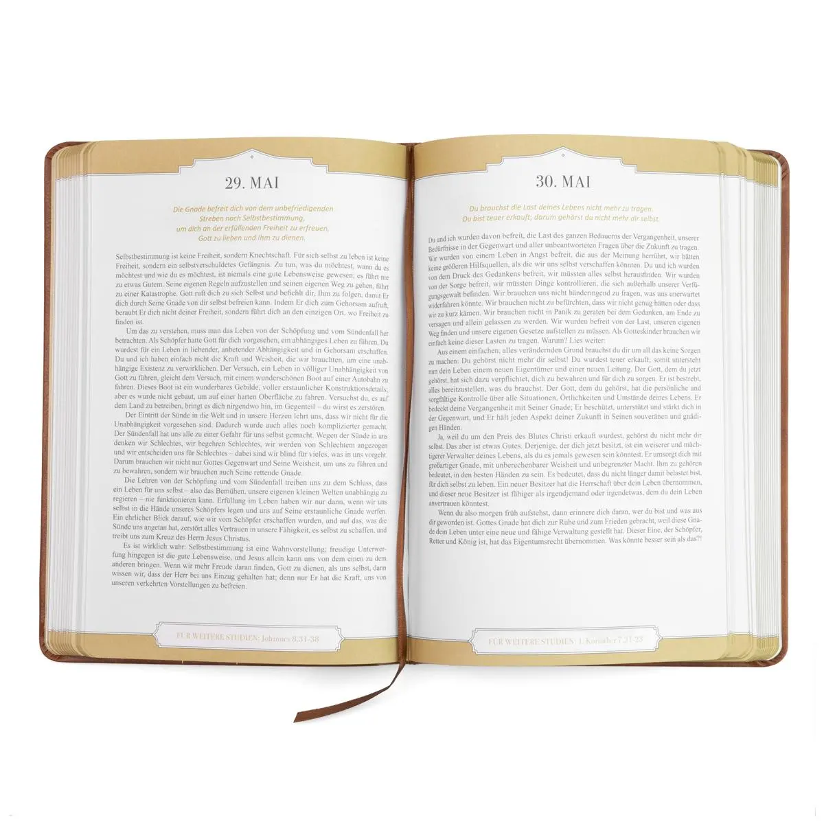 Bild: 9783947978496 | Jeden Morgen neue Gnade | Paul David Tripp | Buch | 440 S. | Deutsch