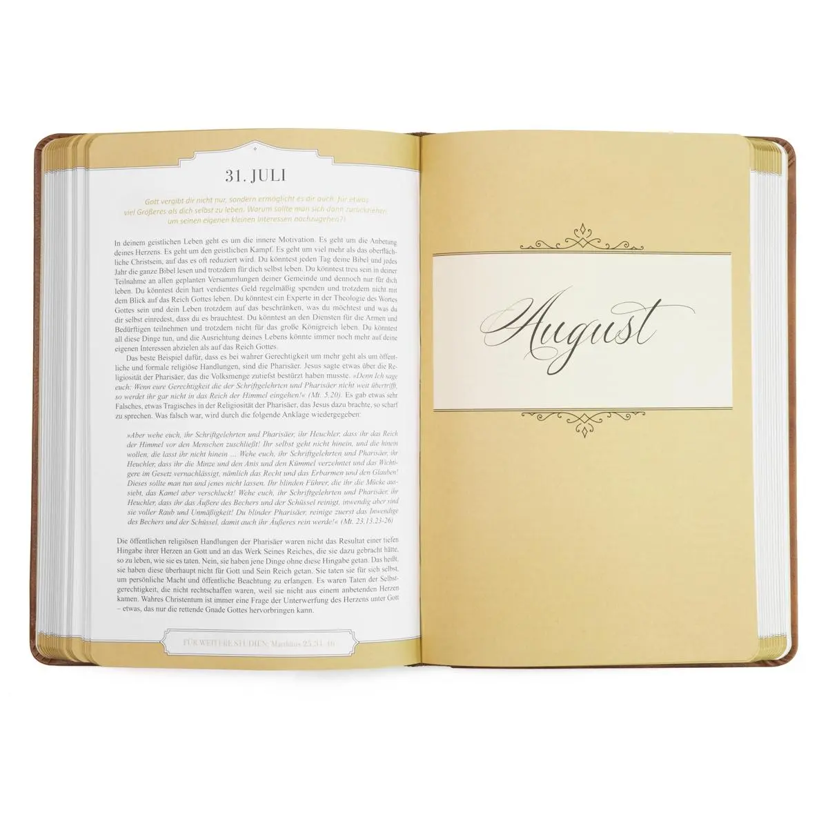 Bild: 9783947978496 | Jeden Morgen neue Gnade | Paul David Tripp | Buch | 440 S. | Deutsch