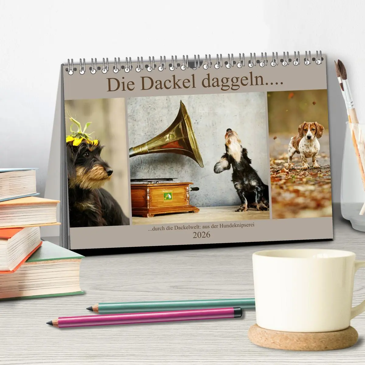 Bild: 9783457748596 | Die Dackel daggeln.... (Tischkalender 2026 DIN A5 quer), CALVENDO...