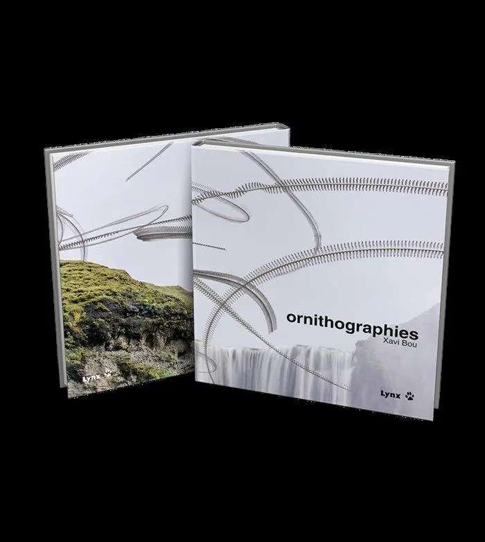 Cover: 9788416728596 | Ornithographies | Xavi Bou | Buch | Kartoniert / Broschiert | Englisch