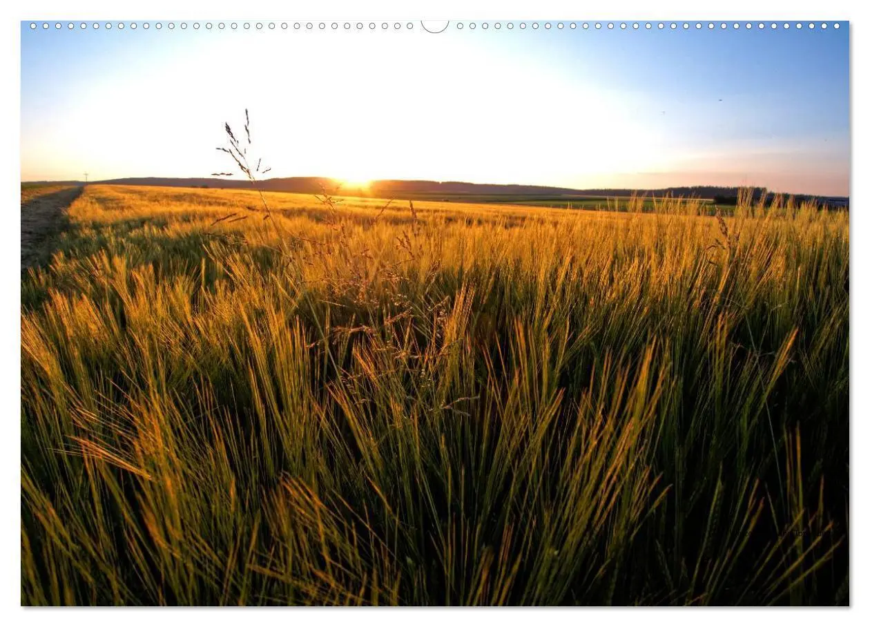 Bild: 9783435578696 | Impressionen von der Schwäbischen Alb (Wandkalender 2025 DIN A2...