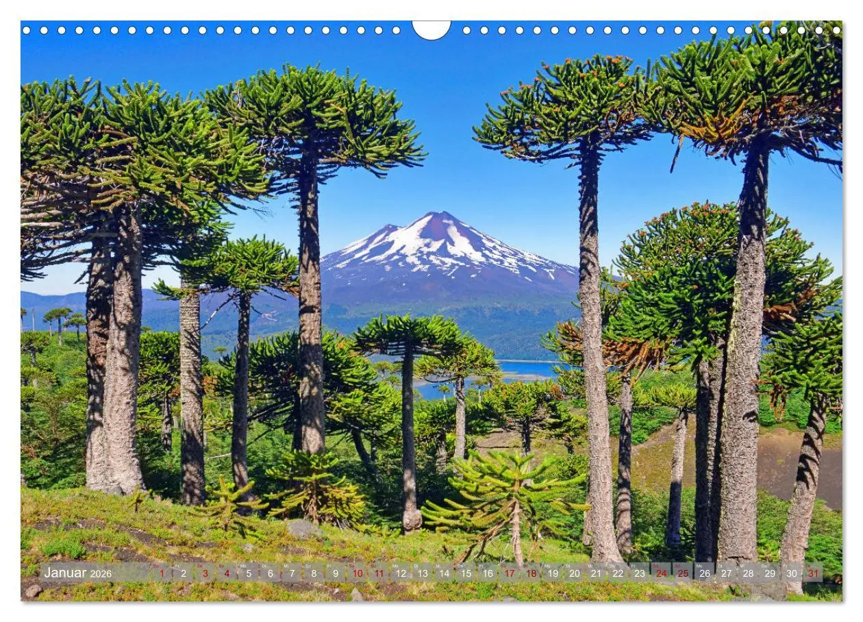 Bild: 9783457288696 | Der Kleine Süden von Chile (Wandkalender 2026 DIN A3 quer),...