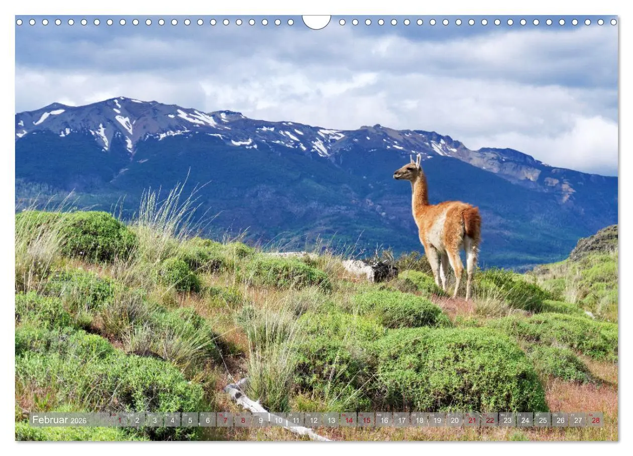Bild: 9783457288696 | Der Kleine Süden von Chile (Wandkalender 2026 DIN A3 quer),...