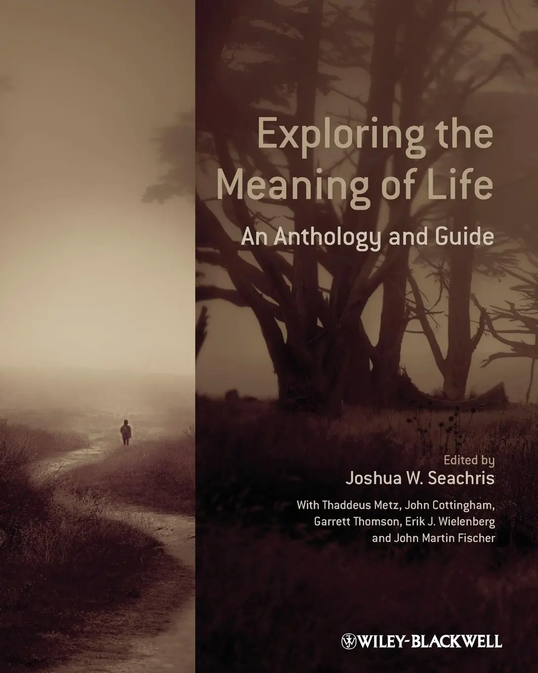 Cover: 9780470658796 | Exploring the Meaning of Life | An Anthology and Guide | Metz | Buch
