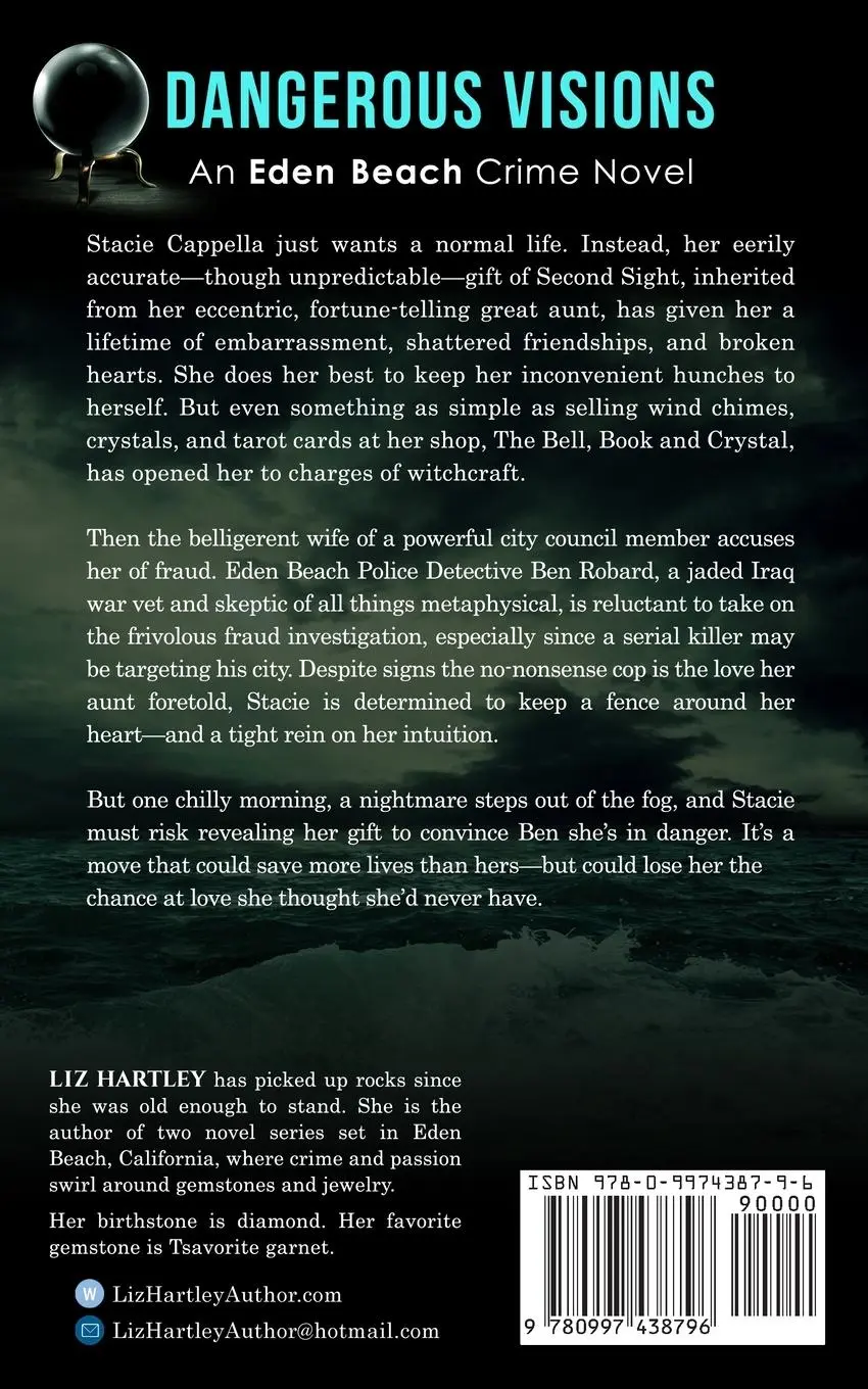 Rückseite: 9780997438796 | Dangerous Visions | An Eden Beach Crime Novel | Liz Hartley | Buch