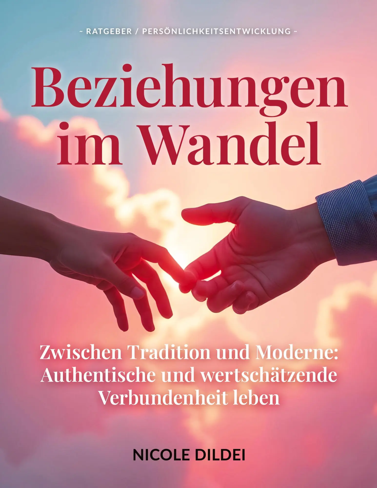Cover: 9783384608796 | BEZIEHUNGEN IM WANDEL | Nicole Dildei | Taschenbuch | 228 S. | Deutsch
