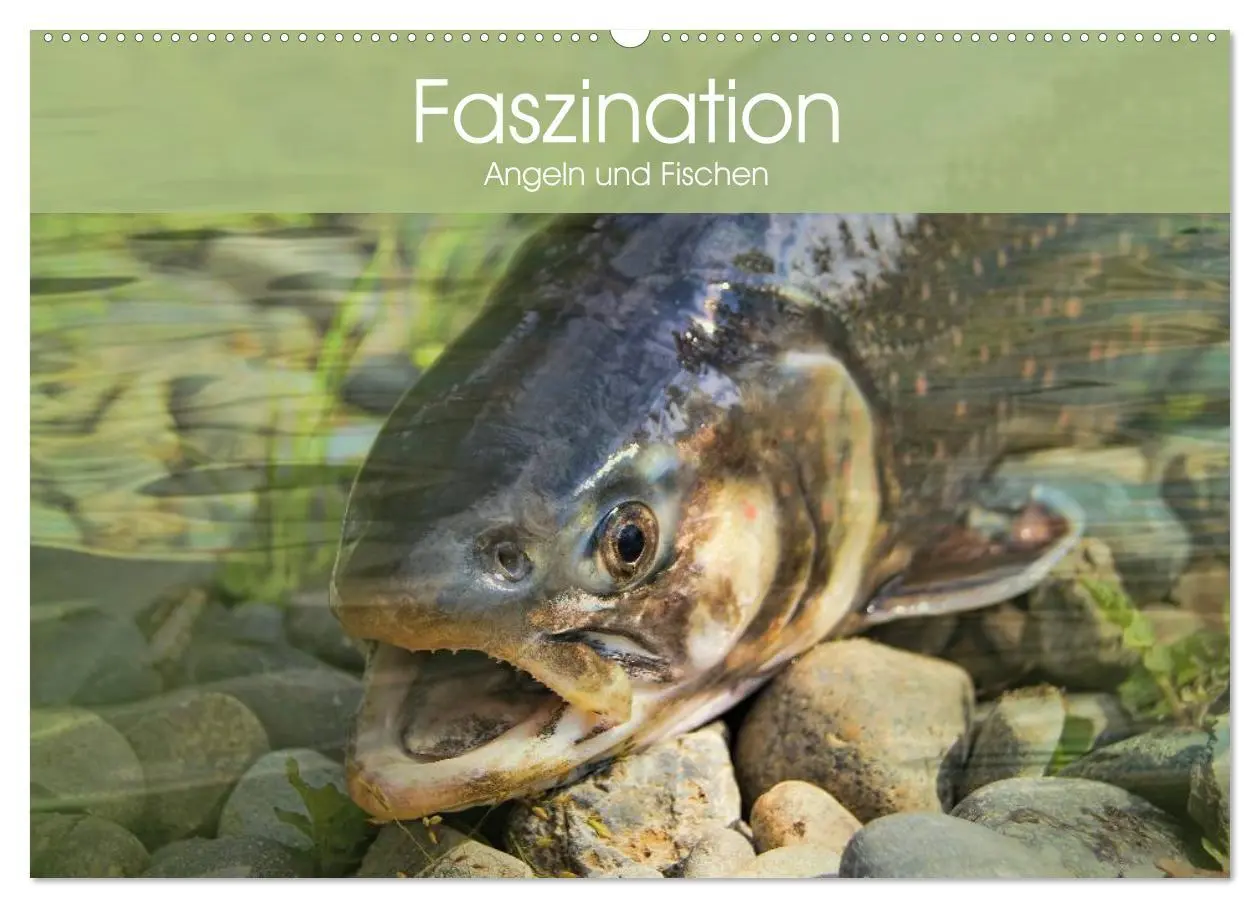 Cover: 9783457968796 | Faszination Angeln und Fischen (Wandkalender 2026 DIN A2 quer),...