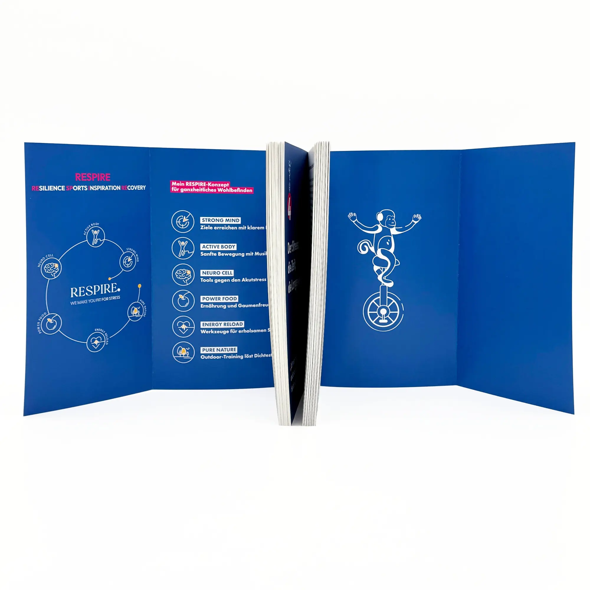 Bild: 9783708808796 | Mind Monkeys - Der Affenzirkus in deinem Kopf | Nadine Rass | Buch