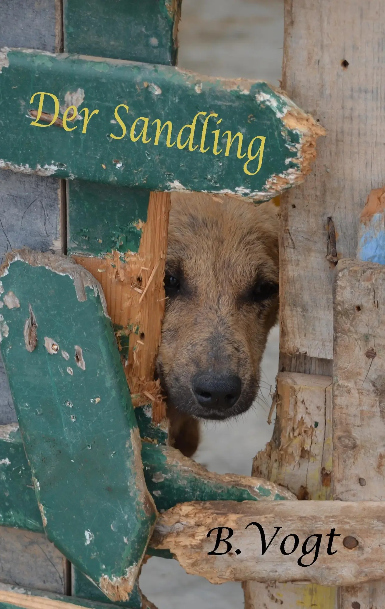 Cover: 9783749498796 | Der Sandling | Benjamin Vogt | Taschenbuch | 156 S. | Deutsch | 2019