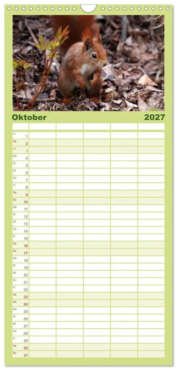 Bild: 9783594338896 | Familienplaner 2027 - Eichhörnchen mit 5 Spalten (Wandkalender, 21...
