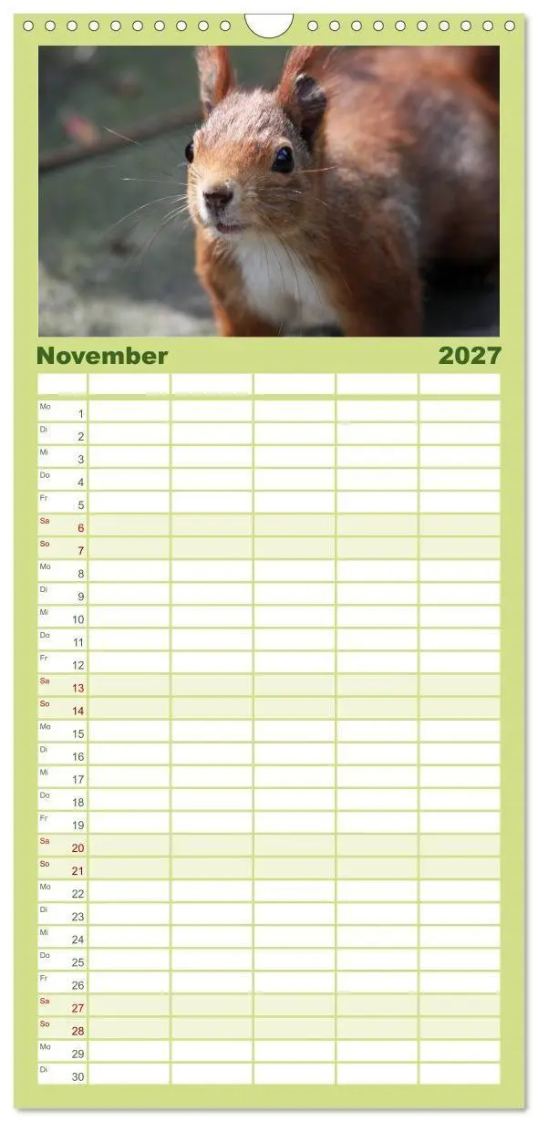 Bild: 9783594338896 | Familienplaner 2027 - Eichhörnchen mit 5 Spalten (Wandkalender, 21...