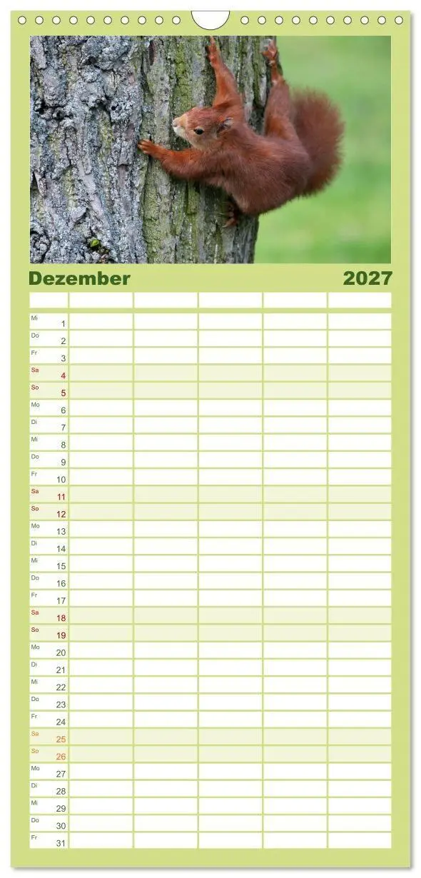 Bild: 9783594338896 | Familienplaner 2027 - Eichhörnchen mit 5 Spalten (Wandkalender, 21...