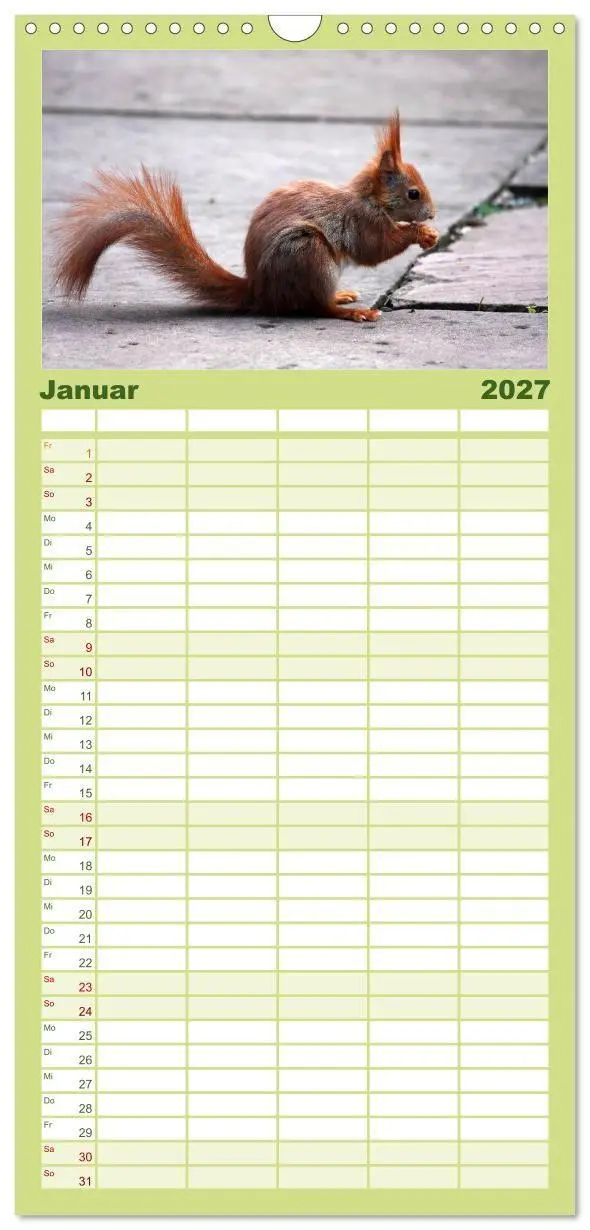 Bild: 9783594338896 | Familienplaner 2027 - Eichhörnchen mit 5 Spalten (Wandkalender, 21...