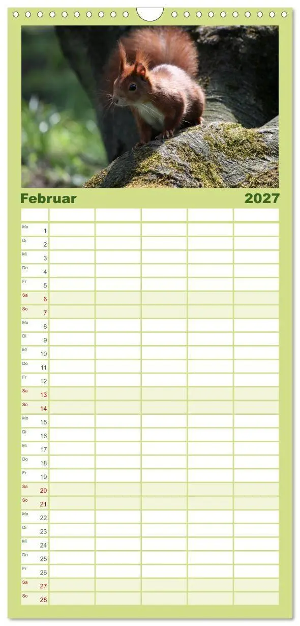 Bild: 9783594338896 | Familienplaner 2027 - Eichhörnchen mit 5 Spalten (Wandkalender, 21...