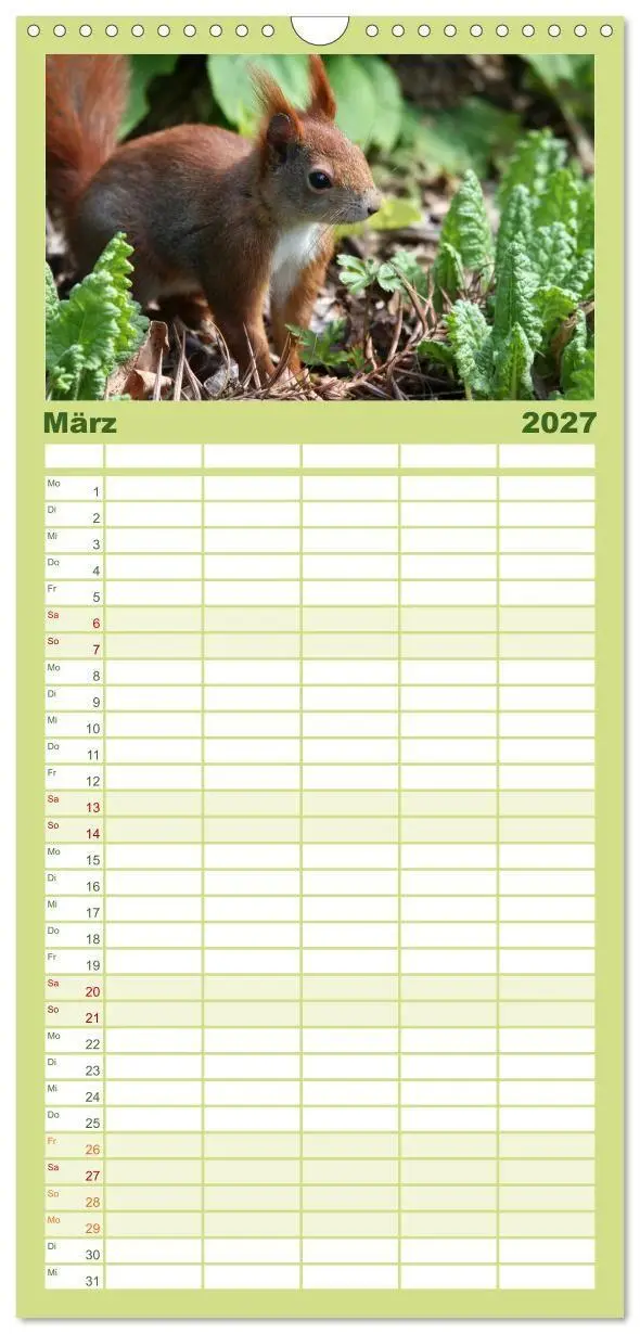 Bild: 9783594338896 | Familienplaner 2027 - Eichhörnchen mit 5 Spalten (Wandkalender, 21...