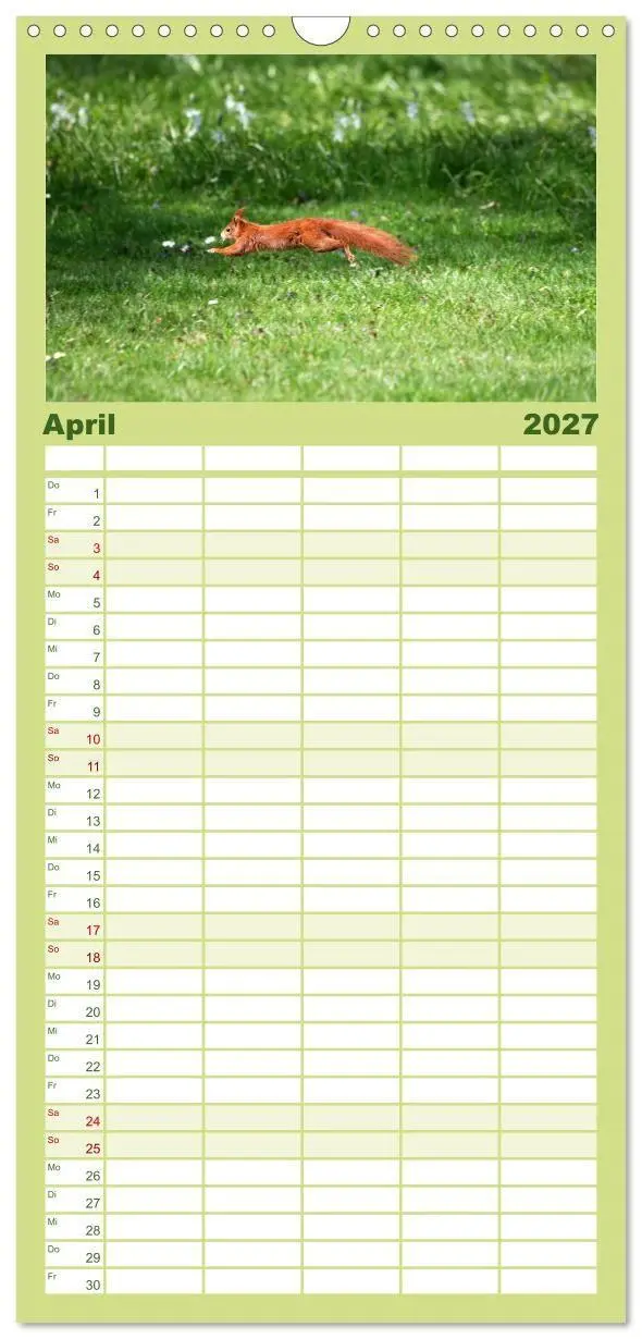 Bild: 9783594338896 | Familienplaner 2027 - Eichhörnchen mit 5 Spalten (Wandkalender, 21...