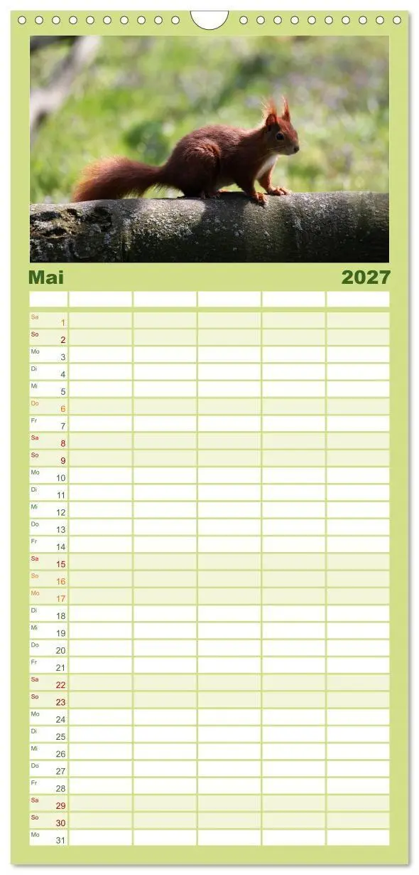 Bild: 9783594338896 | Familienplaner 2027 - Eichhörnchen mit 5 Spalten (Wandkalender, 21...