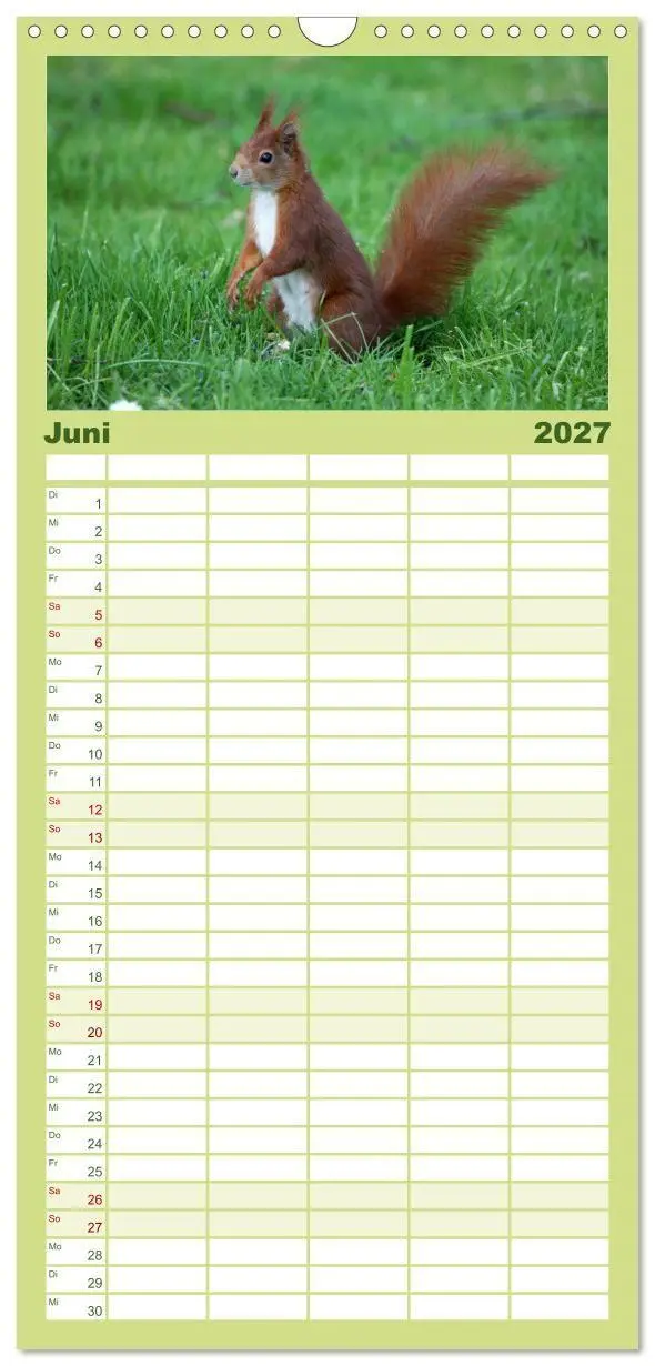 Bild: 9783594338896 | Familienplaner 2027 - Eichhörnchen mit 5 Spalten (Wandkalender, 21...