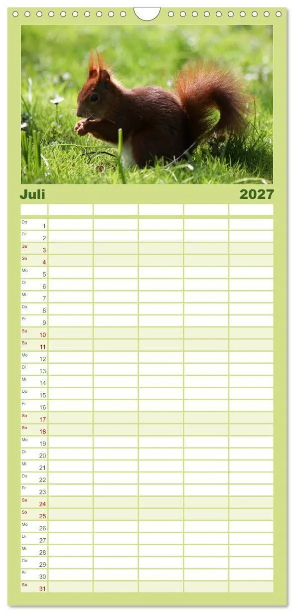Bild: 9783594338896 | Familienplaner 2027 - Eichhörnchen mit 5 Spalten (Wandkalender, 21...