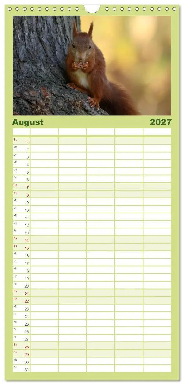 Bild: 9783594338896 | Familienplaner 2027 - Eichhörnchen mit 5 Spalten (Wandkalender, 21...