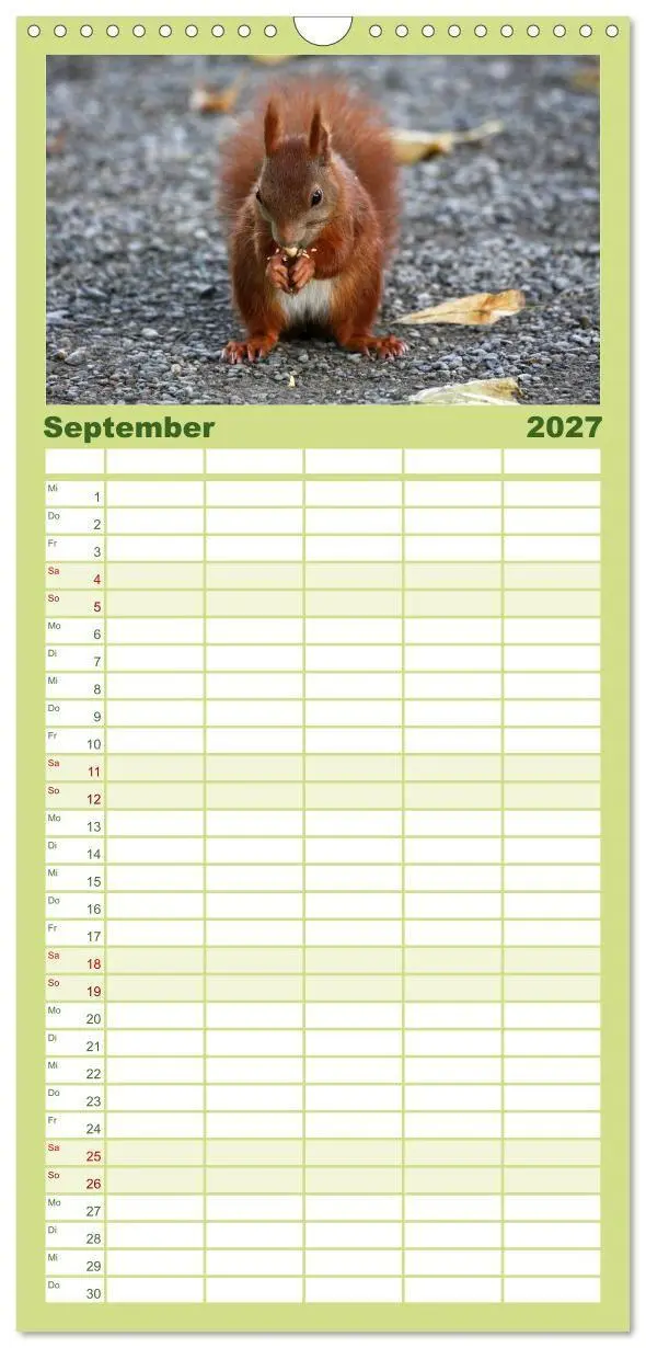 Bild: 9783594338896 | Familienplaner 2027 - Eichhörnchen mit 5 Spalten (Wandkalender, 21...