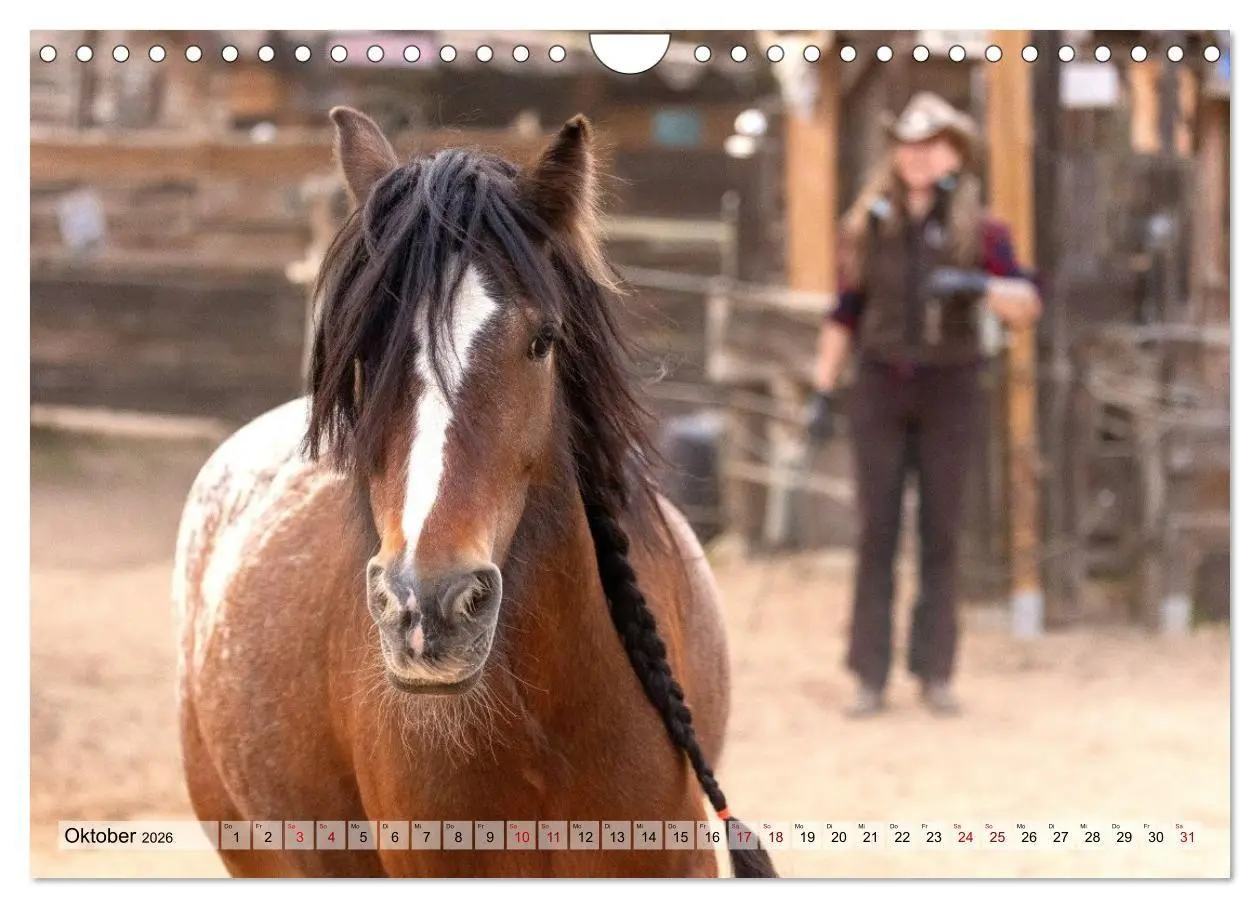 Bild: 9783516728996 | Colorful Horse Ranch - Wo Tinker posen und Ponys lächeln...