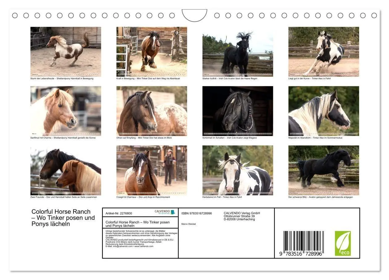 Bild: 9783516728996 | Colorful Horse Ranch - Wo Tinker posen und Ponys lächeln...