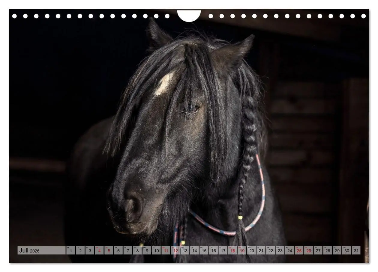 Bild: 9783516728996 | Colorful Horse Ranch - Wo Tinker posen und Ponys lächeln...