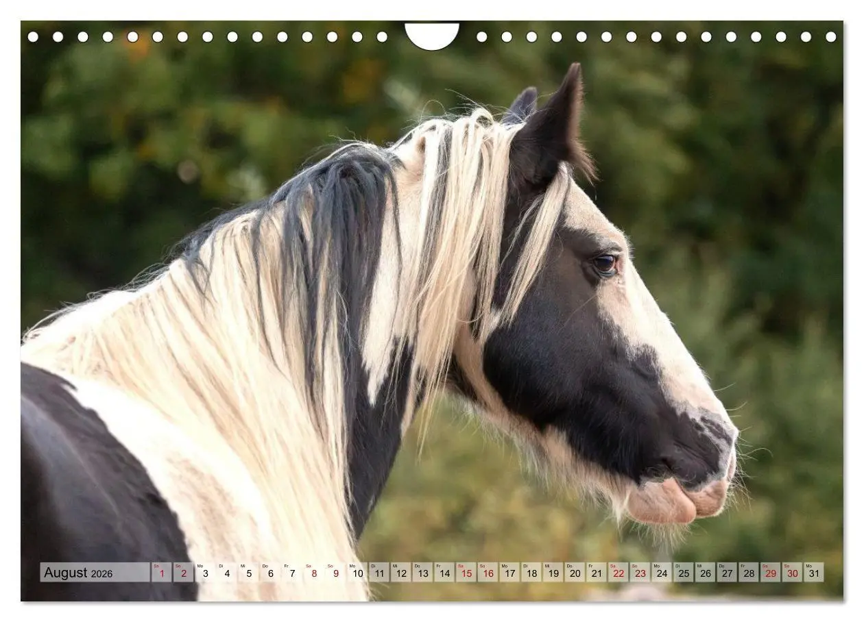 Bild: 9783516728996 | Colorful Horse Ranch - Wo Tinker posen und Ponys lächeln...