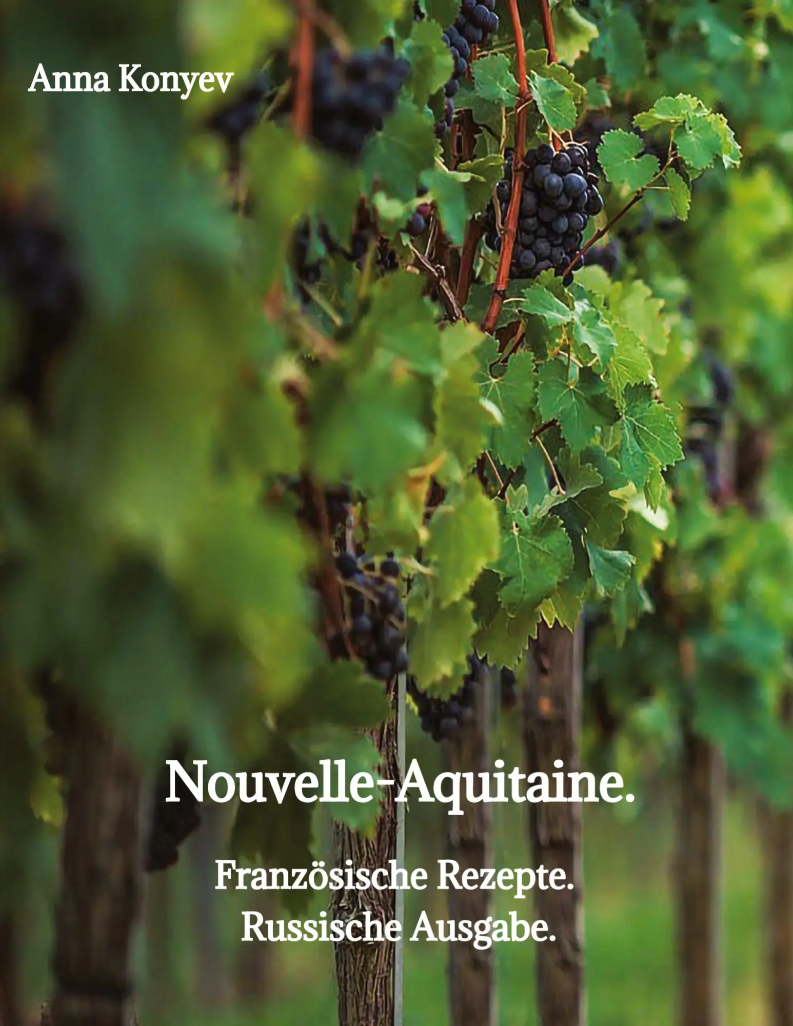 Cover: 9783384339096 | Nouvelle-Aquitaine. | Französische Rezepte. | Anna Konyev | Buch