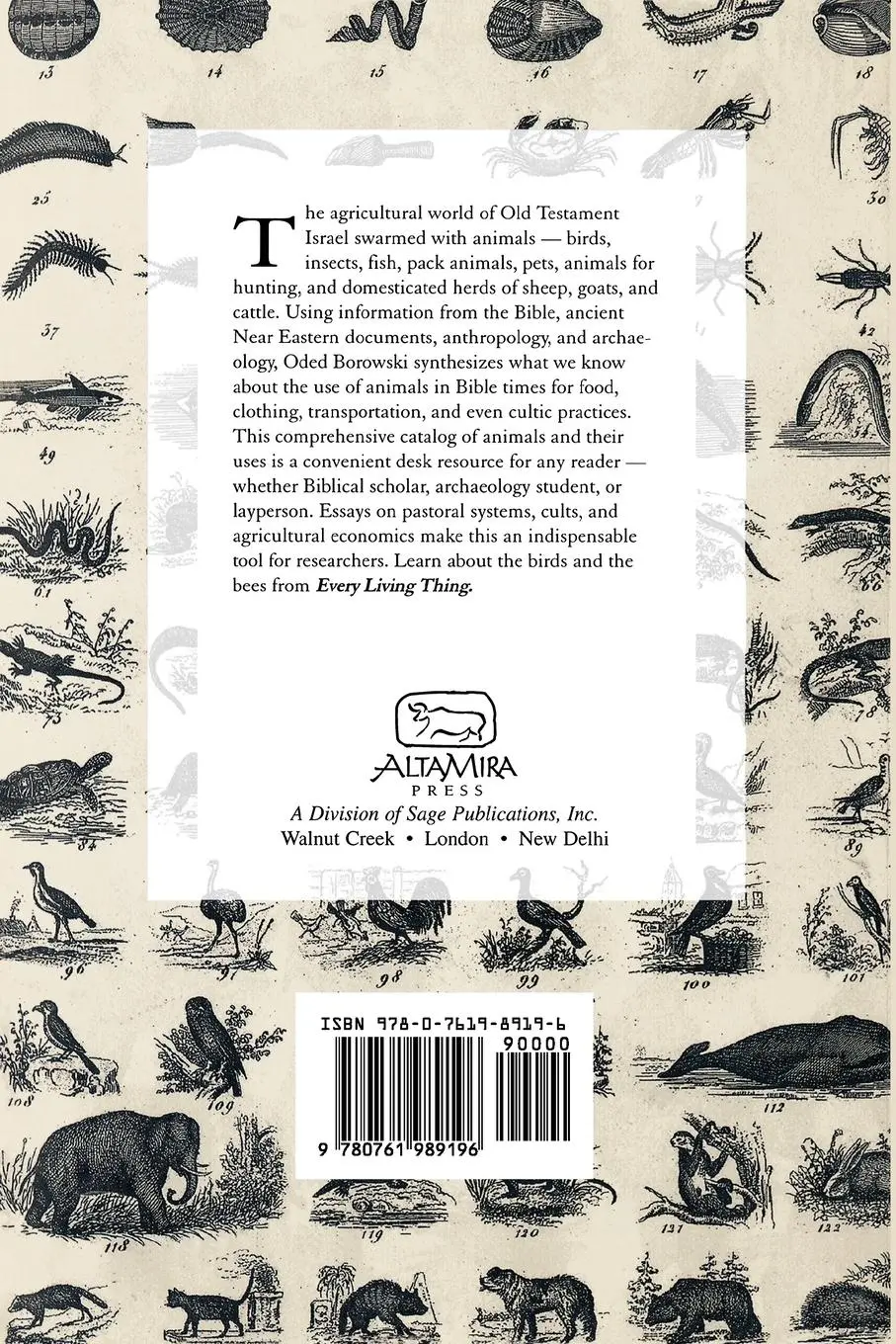 Rückseite: 9780761989196 | Every Living Thing | Daily Use of Animals in Ancient Israel | Borowski