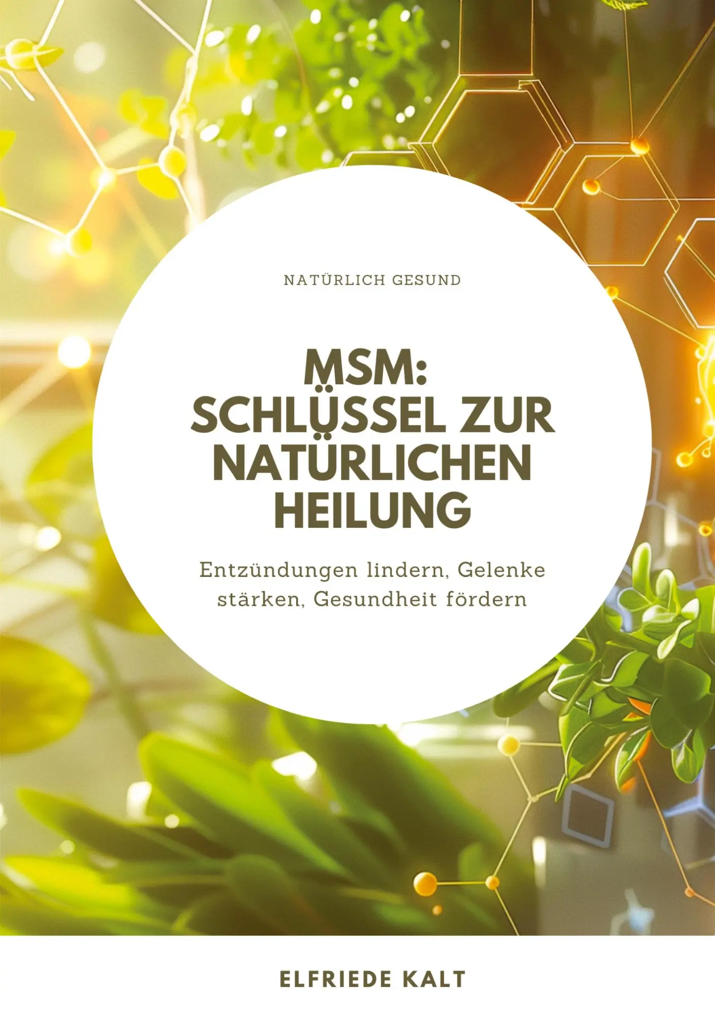 Cover: 9783384259196 | MSM: Schlüssel zur natürlichen Heilung | Elfriede Kalt | Taschenbuch