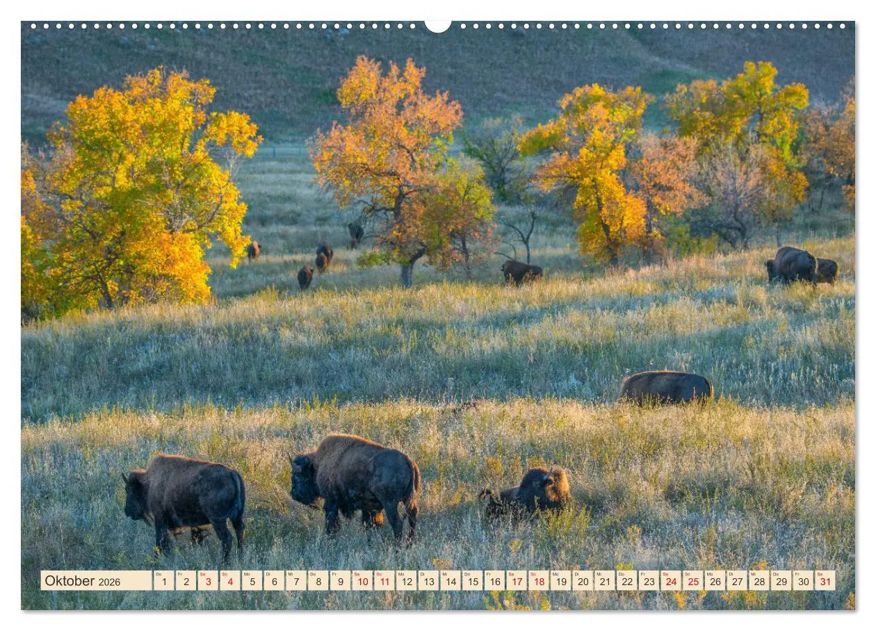 Bild: 9783457379196 | Sioux Im Lande von Sitting Bull (hochwertiger Premium Wandkalender...