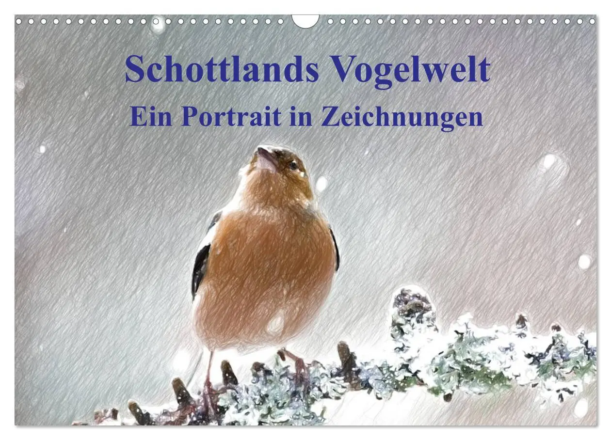 Cover: 9783457999196 | Schottlands Vogelwelt - Ein Porträt in Zeichnungen (Wandkalender...