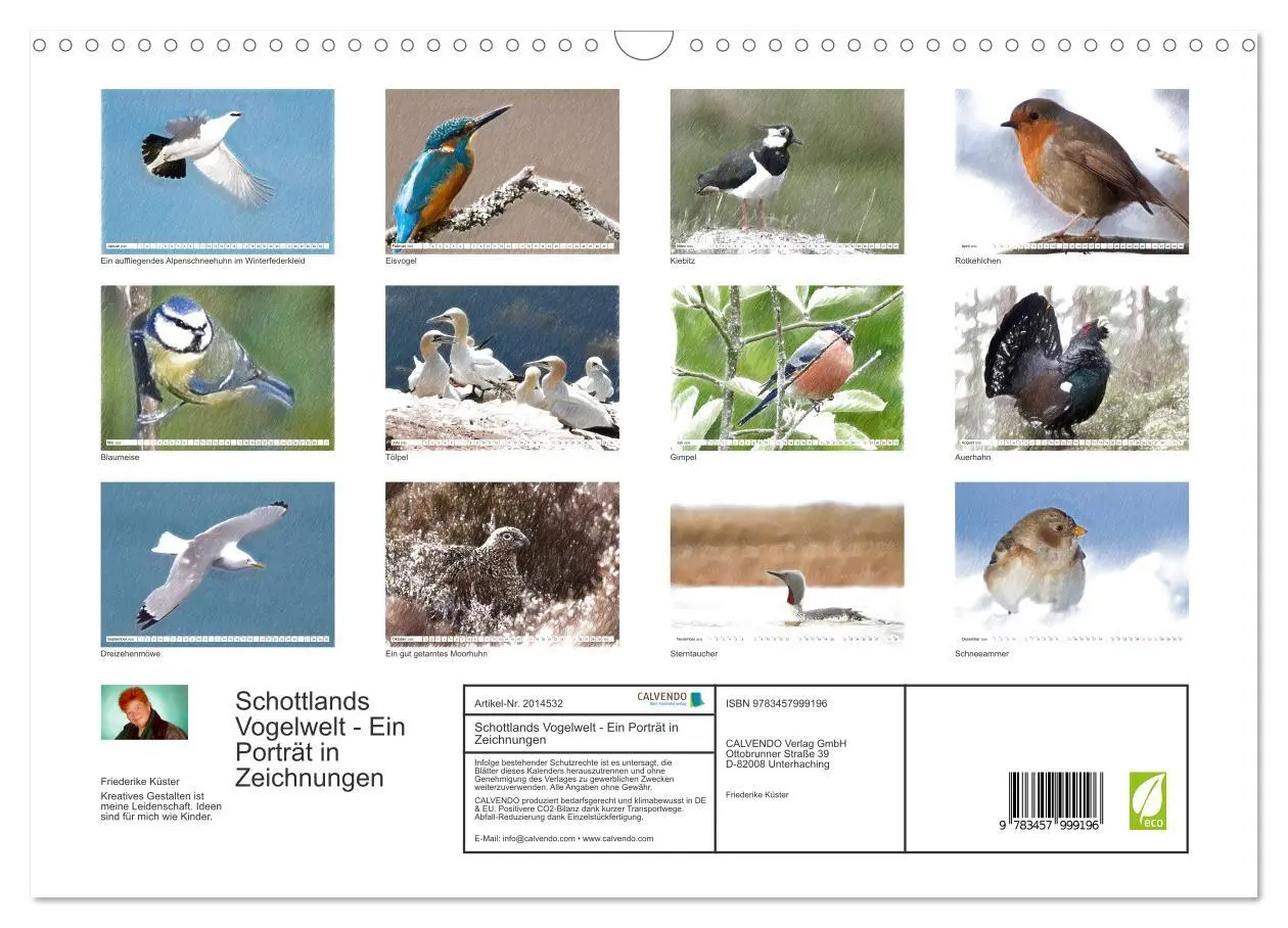 Bild: 9783457999196 | Schottlands Vogelwelt - Ein Porträt in Zeichnungen (Wandkalender...
