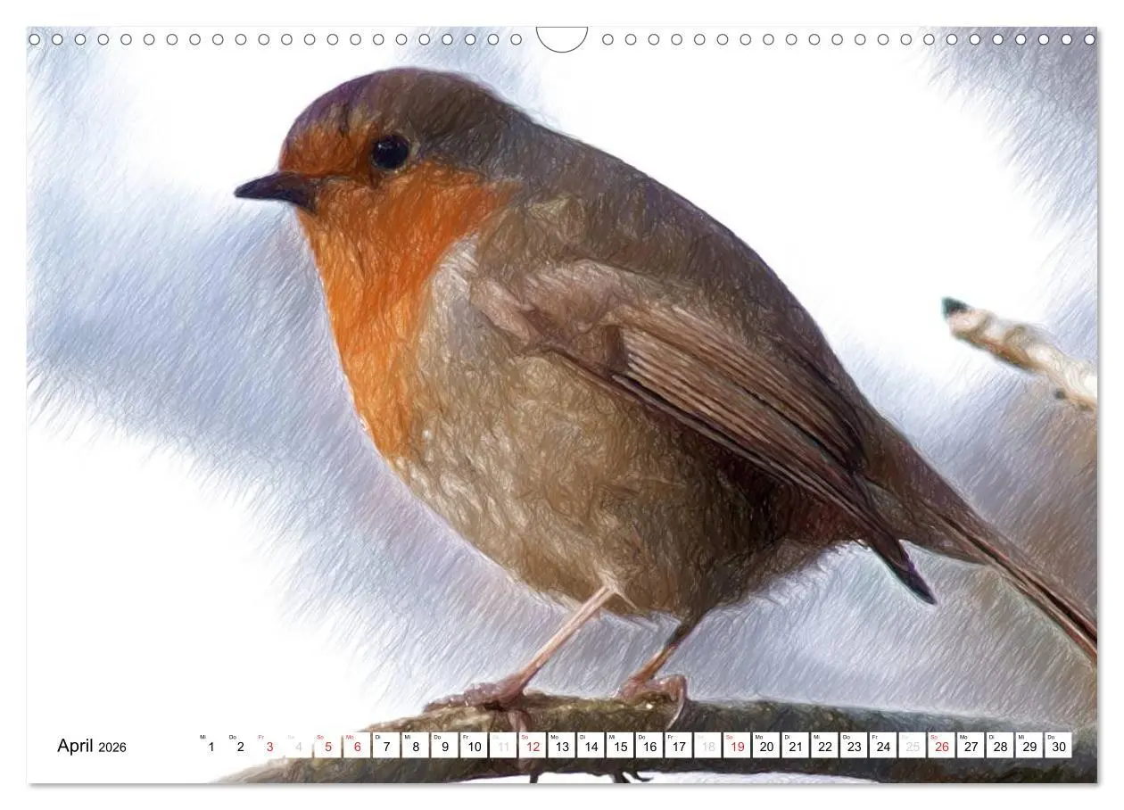Bild: 9783457999196 | Schottlands Vogelwelt - Ein Porträt in Zeichnungen (Wandkalender...