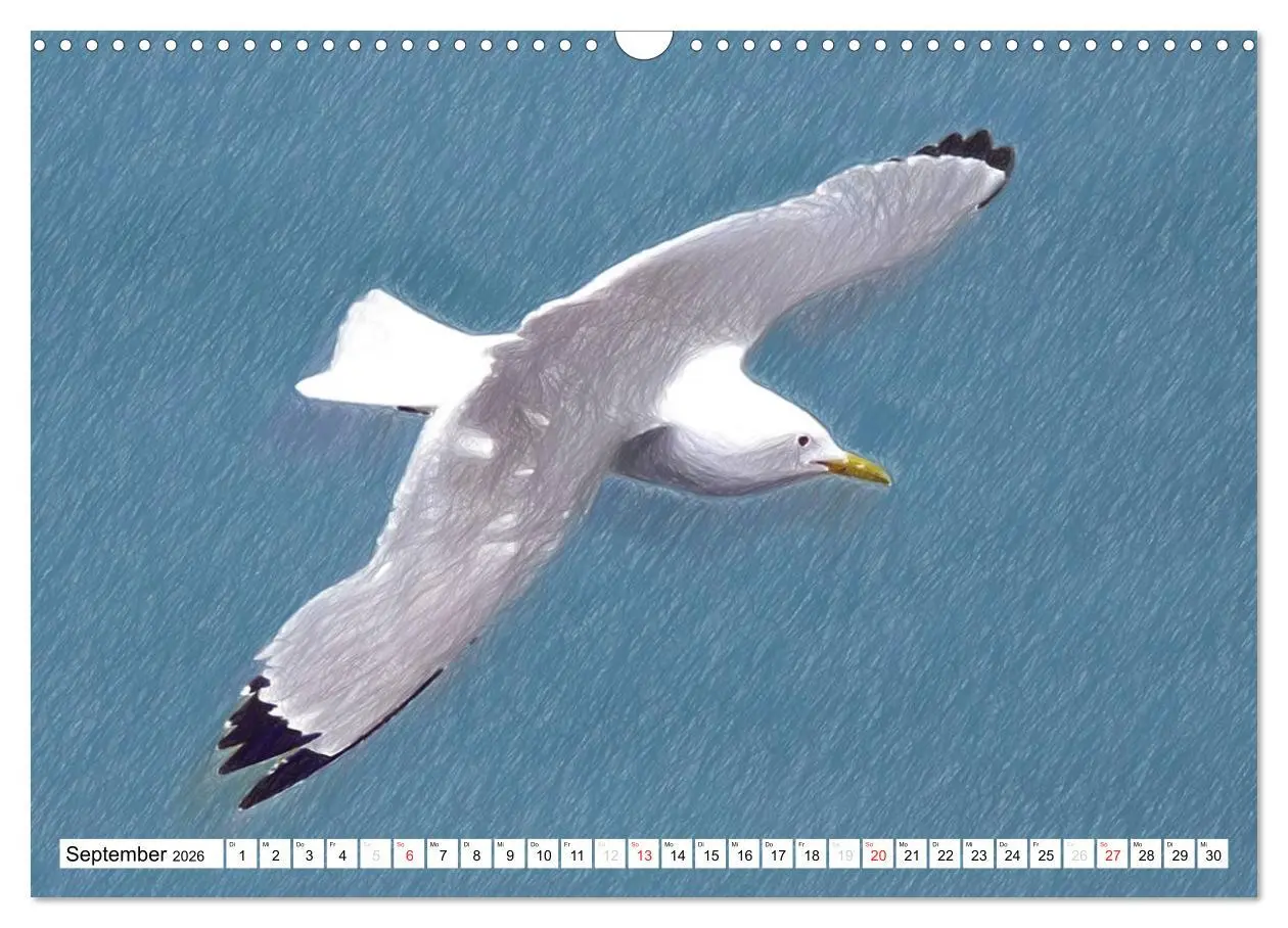 Bild: 9783457999196 | Schottlands Vogelwelt - Ein Porträt in Zeichnungen (Wandkalender...