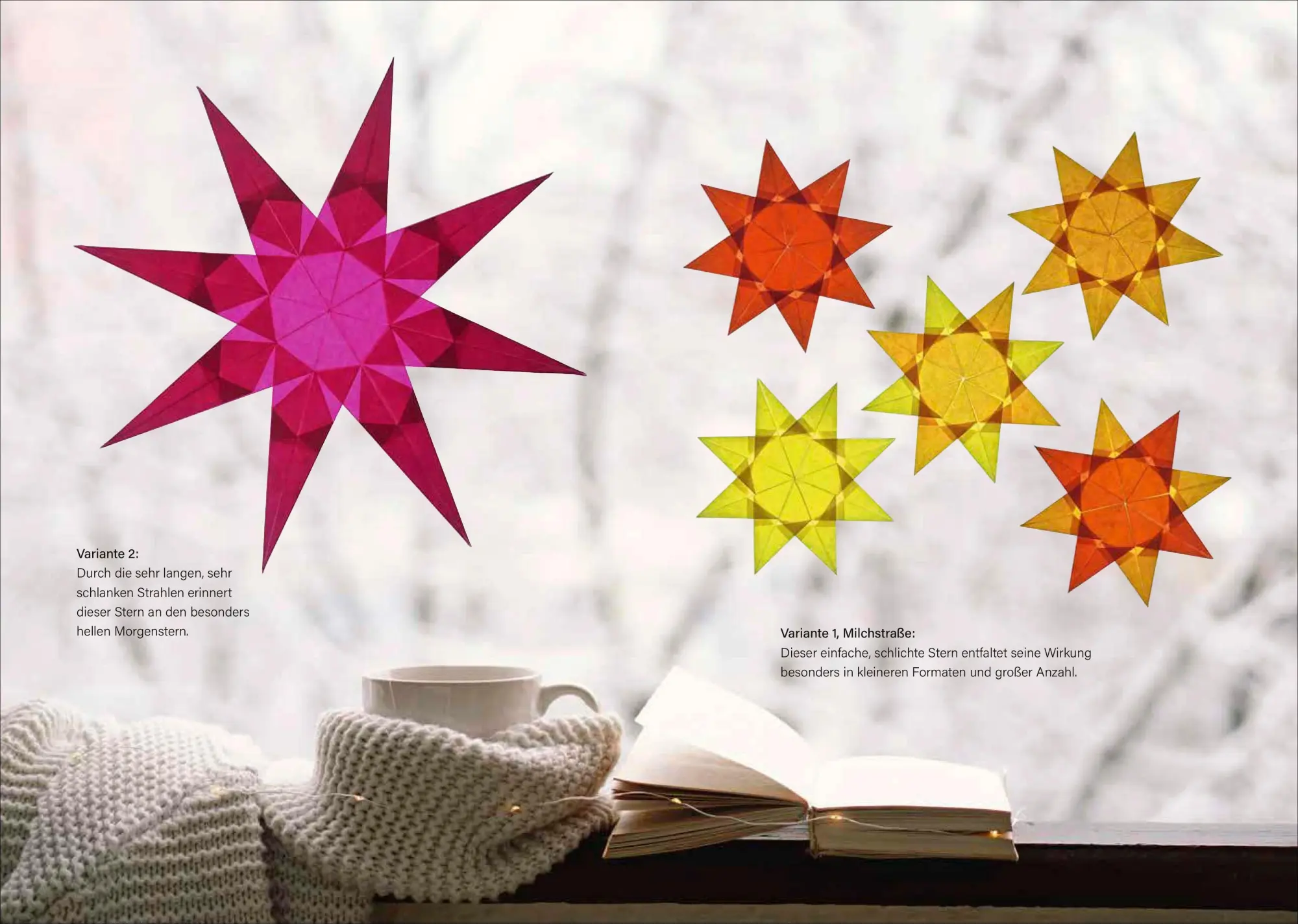 Bild: 9783838839196 | Weihnachtliche Fenstersterne falten | Brigitte Heyduck | Taschenbuch