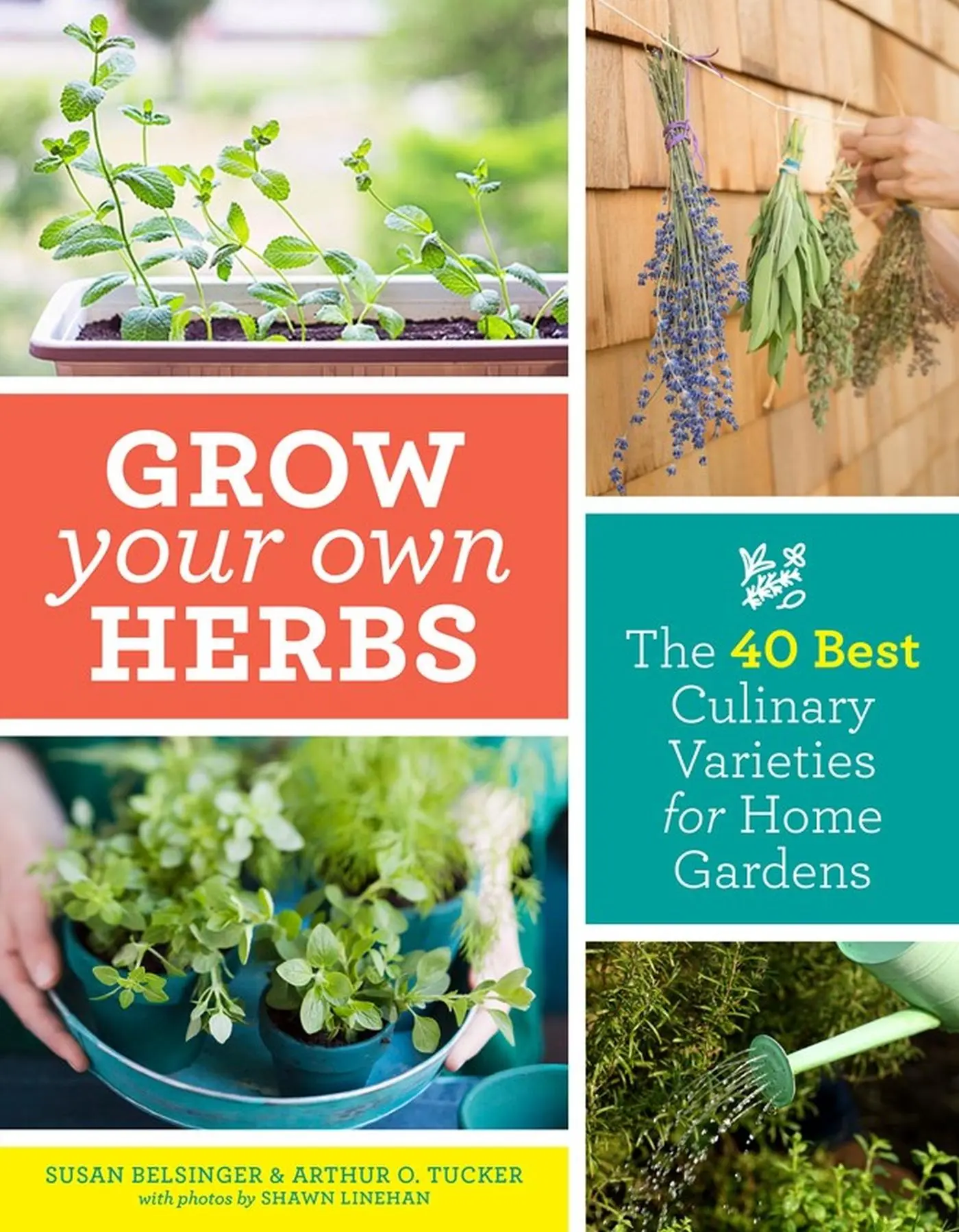 Cover: 9781604699296 | Grow Your Own Herbs | The 40 Best Culinary Varieties for Home Gardens
