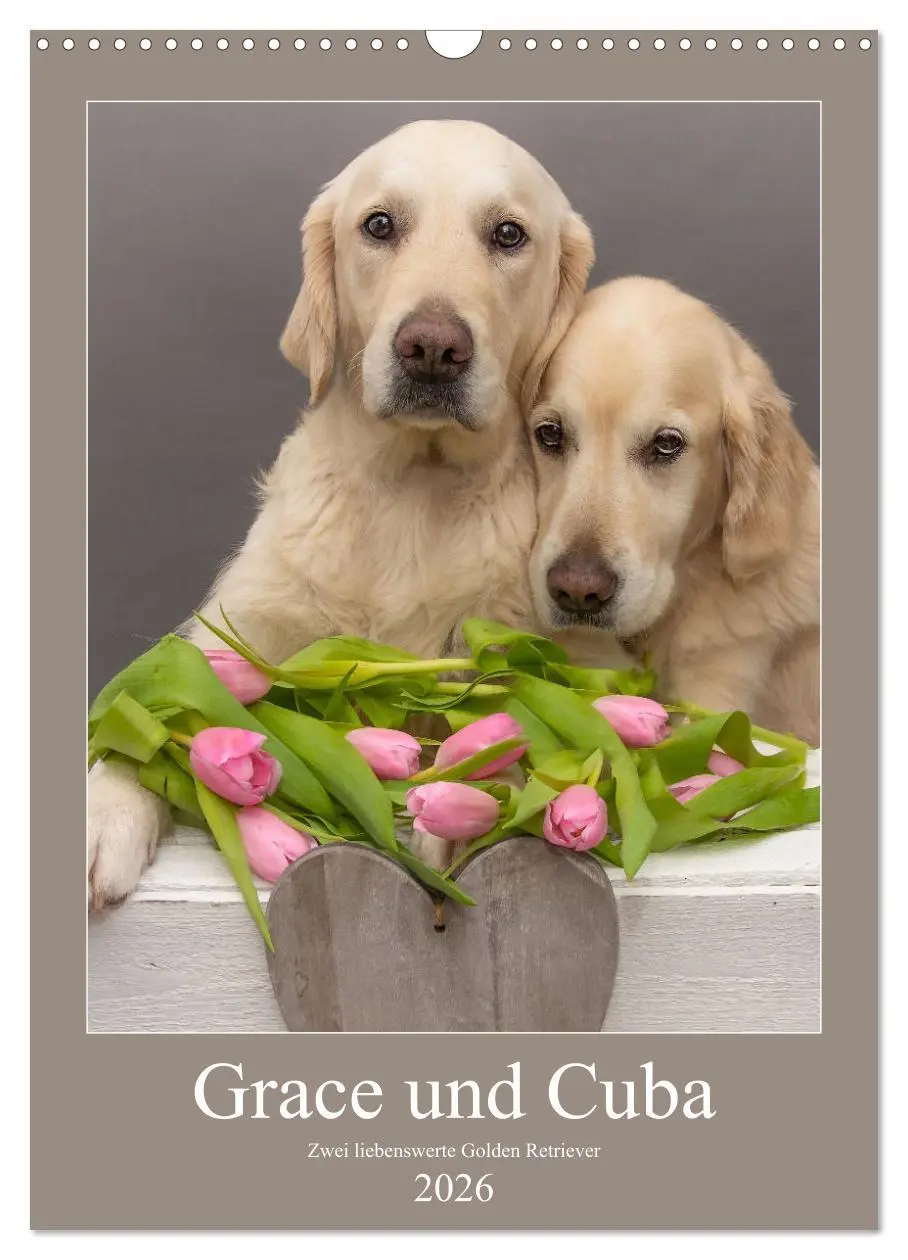 Cover: 9783516379396 | Grace und Cuba - Zwei liebenswerte Golden Retriever (Wandkalender...